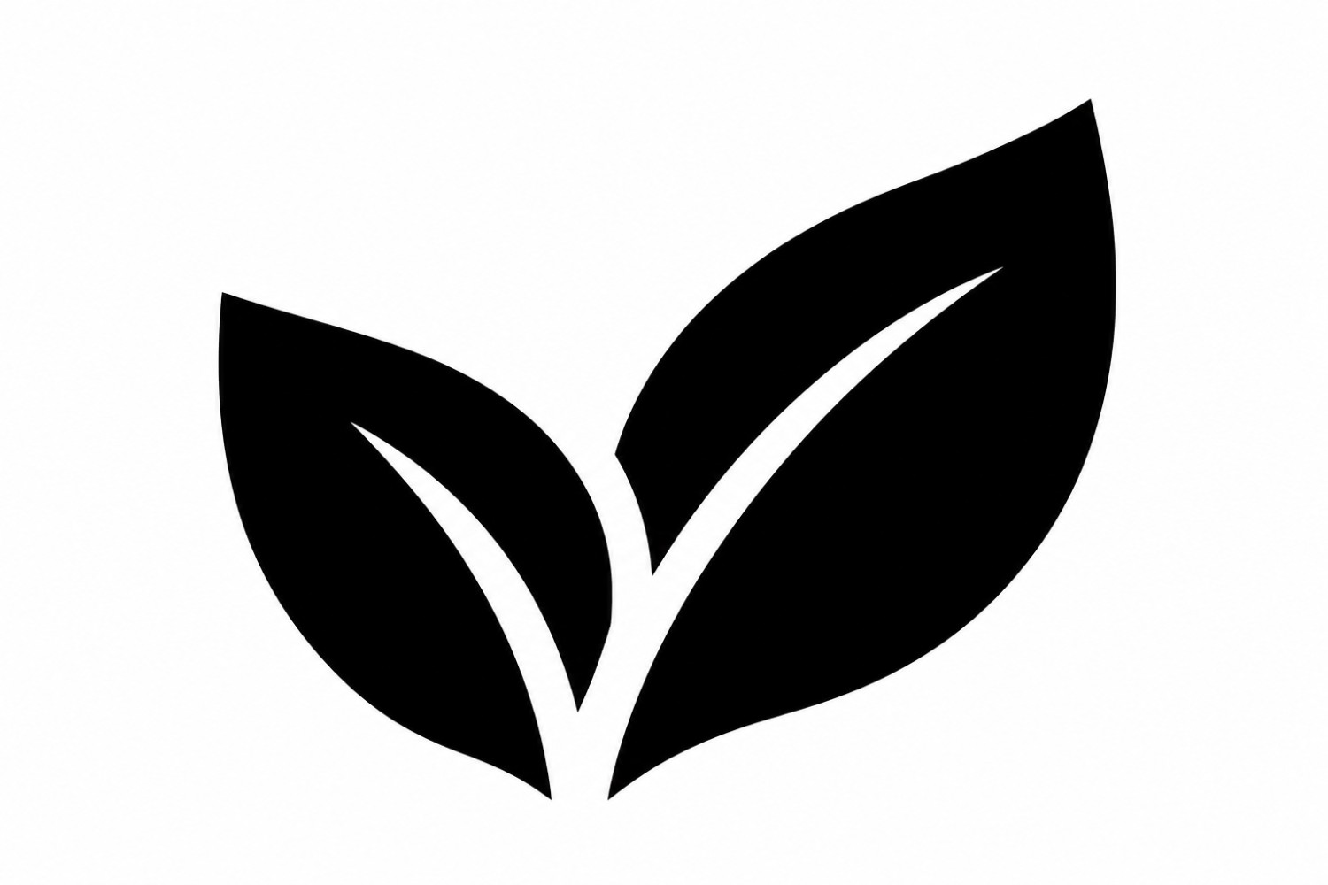 Eco-Friendly